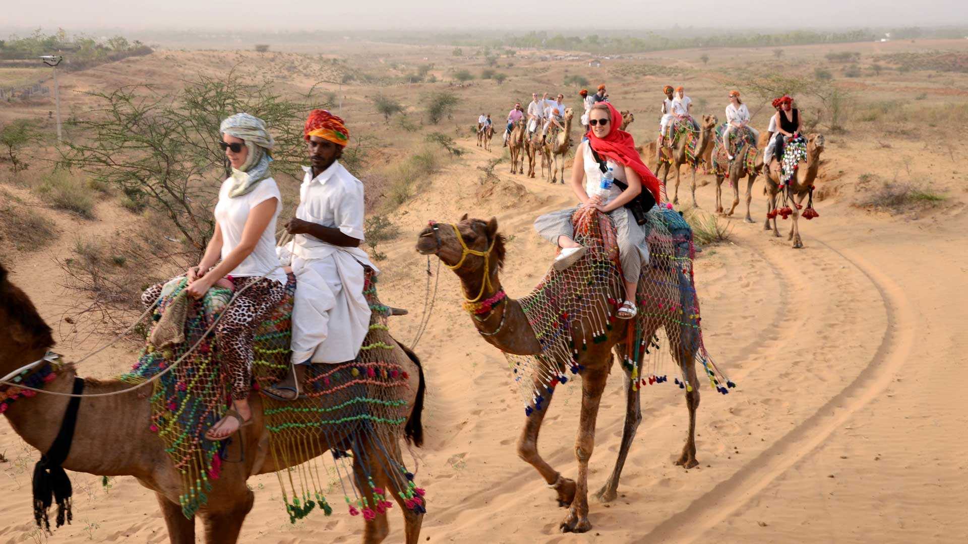 Pushkar With Ranthambore Adventurous Tour Package